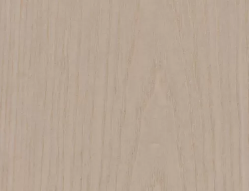 白蜡木